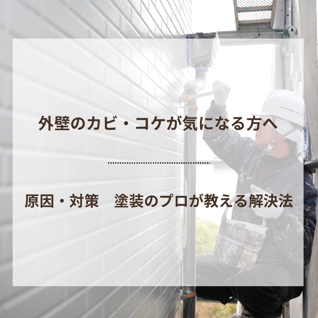 外壁のカビ・コケが気になる方へ　原因・対策・塗装のプロが教える解決法