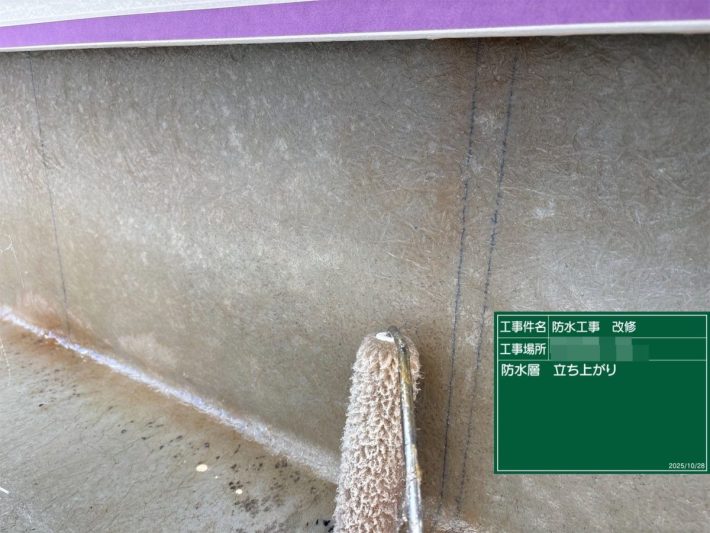 防水層立ち上がり
